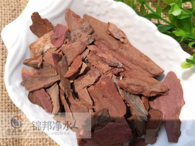 火狐电竞app：草木国际之231：松果[sōng guǒ]
